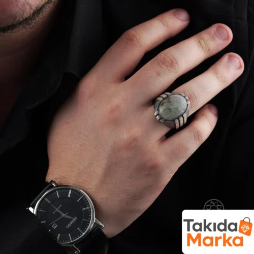 labradorid-tasli-pence-model-gumus-erk-83326-.webp Labradorid Taşlı Pençe Model Gümüş Erkek Yüzük