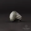Labradorid Taşlı Pençe Model Gümüş Erkek Yüzük